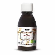 N°1 Articulaire, mycotriplex 150ml