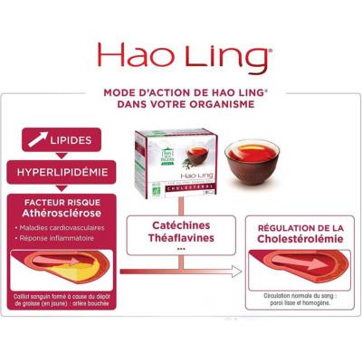 Thé Pu-Erh Hao Ling BIO boite 