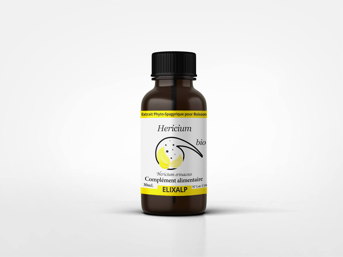 Hericium, extrait spagyrique 30ml